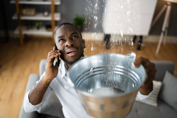 Best Carpet water damage restoration  in Lakeland South, WA