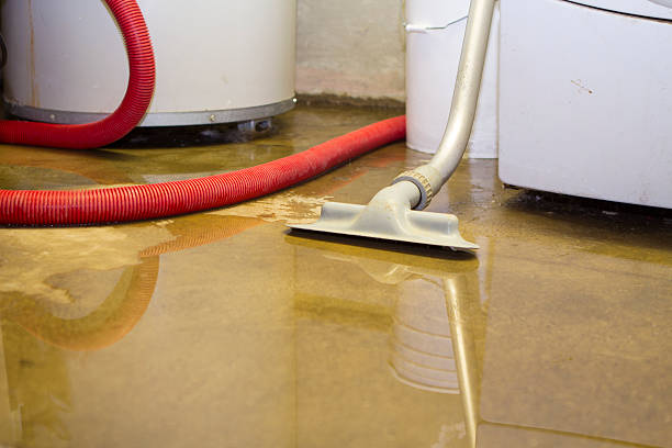 Best Flood restoration services  in Lakeland South, WA