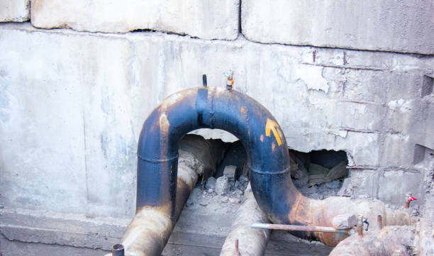 Best Water damage restoration near me  in Lakeland South, WA